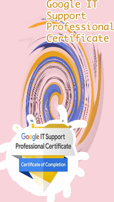 Coursera it support professional