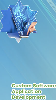 Custom software development solutions