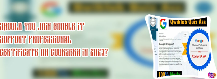Google it professional certificate cost