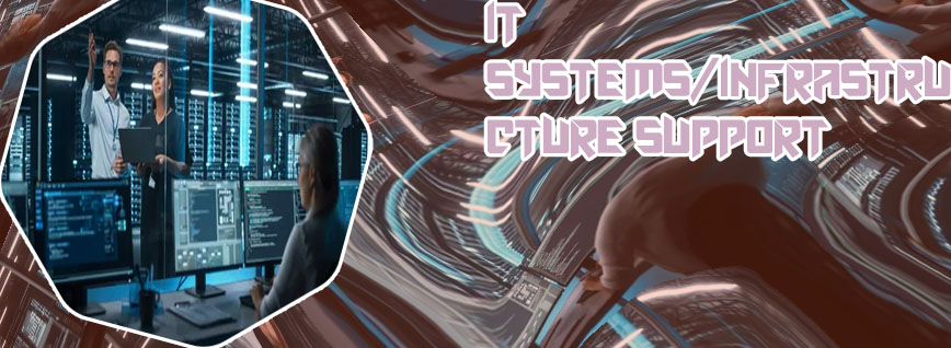 It infrastructure support specialist