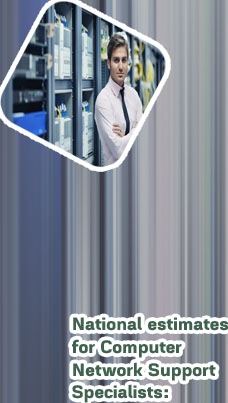It networking specialist