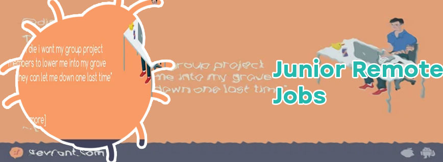 Junior developer remote