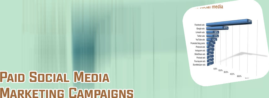 Paid social media marketing