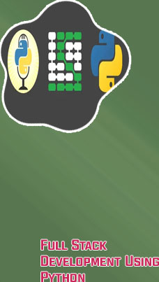 Python stack developer