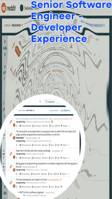 Software developer reddit