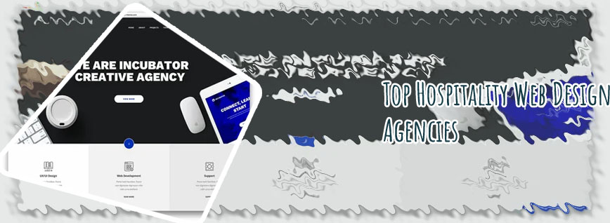 Web agency top