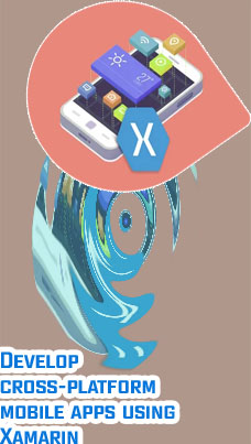 Xamarin for web development